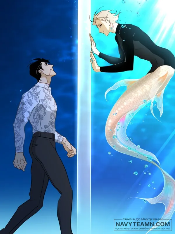 Tình Đầu Của Chủ Quán Sushi Là Chàng Tiên Cá