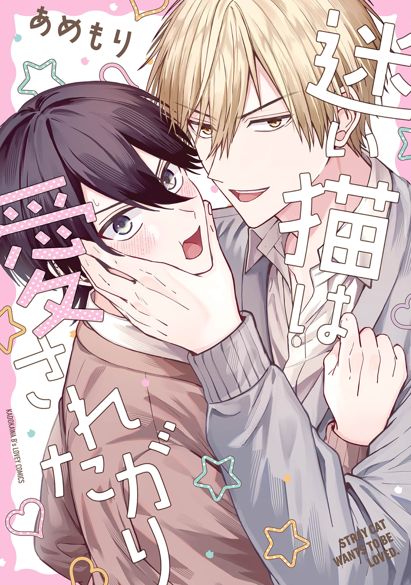 Khao Khát Yêu Thương Của Chú Mèo Đi Lạc