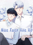 mua-xuan-hoa-no