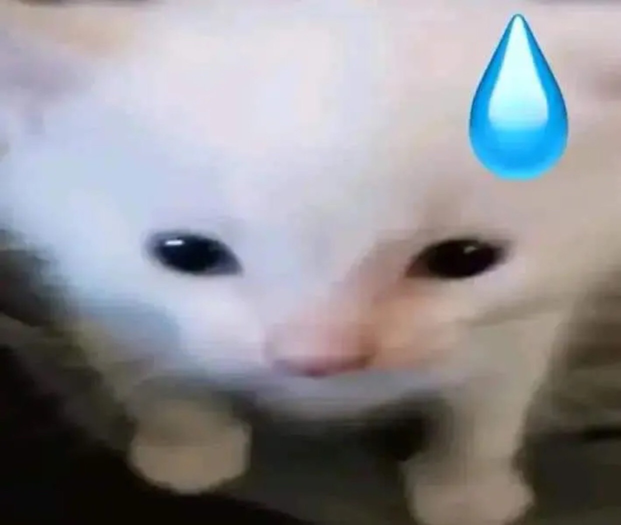 avatar-default